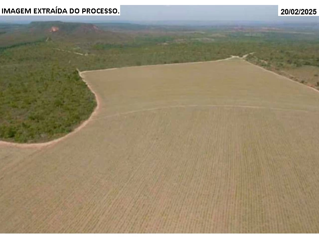 Gleba no Cana Brava (foto 13 de 29)