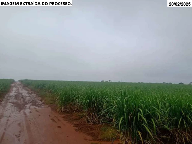 Gleba no Cana Brava (foto 21 de 29)