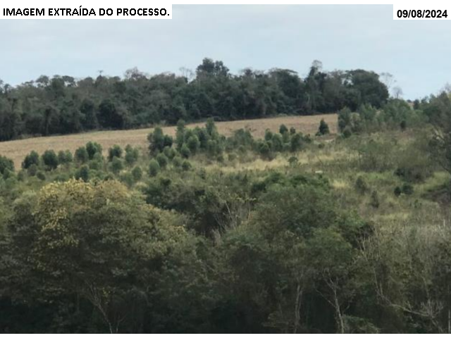 Gleba no Porteira Preta (foto 11 de 22)
