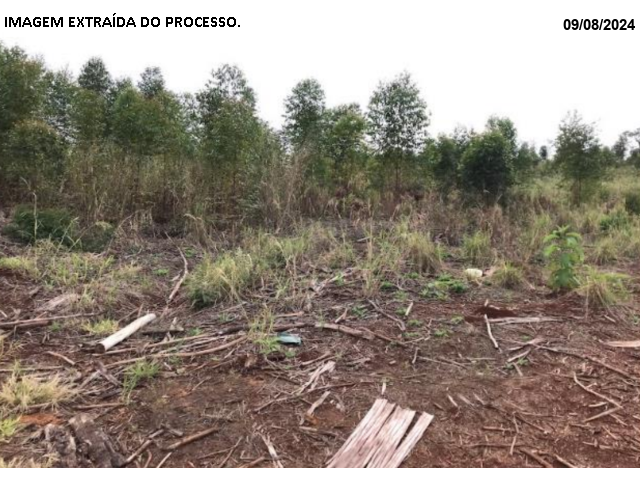 Gleba no Porteira Preta (foto 12 de 22)