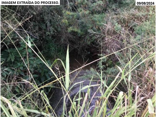Gleba no Porteira Preta (foto 20 de 22)