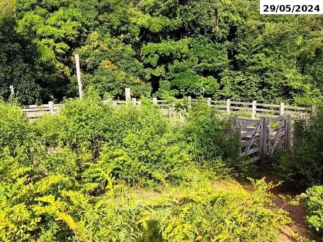 Outros em Leilão em Minaçu / GO - 196904