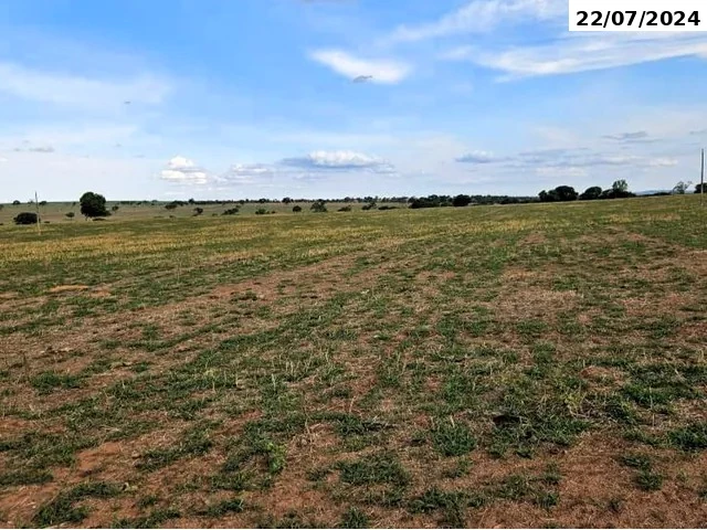 Fazenda com 109,06 hectares - Costa Rica/MS