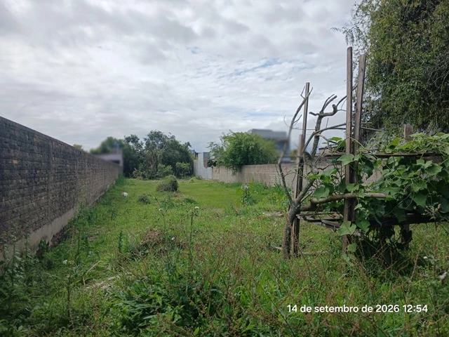 Terreno no Vila Elza (foto 2 de 8)