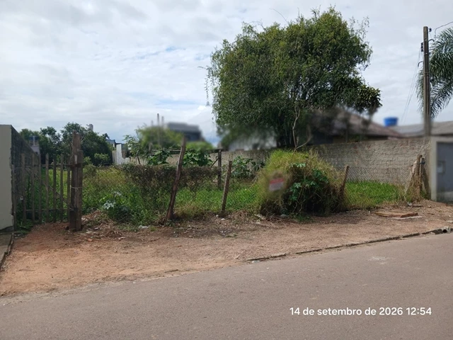 Terreno no Vila Elza (foto 5 de 8)