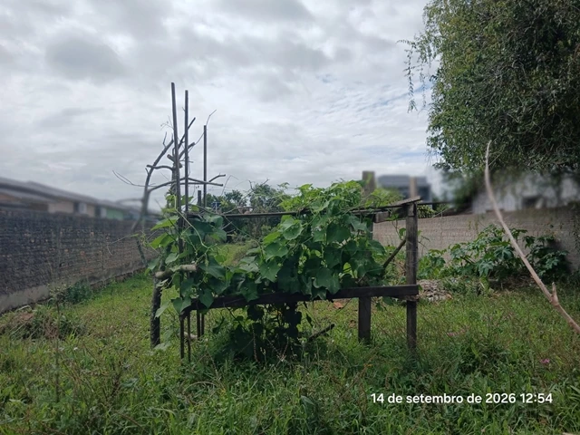Terreno no Vila Elza (foto 6 de 8)