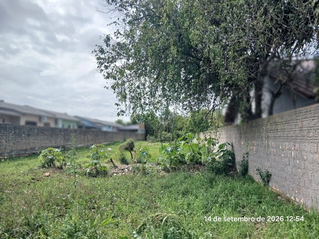 Terreno no Vila Elza (foto 7 de 8)
