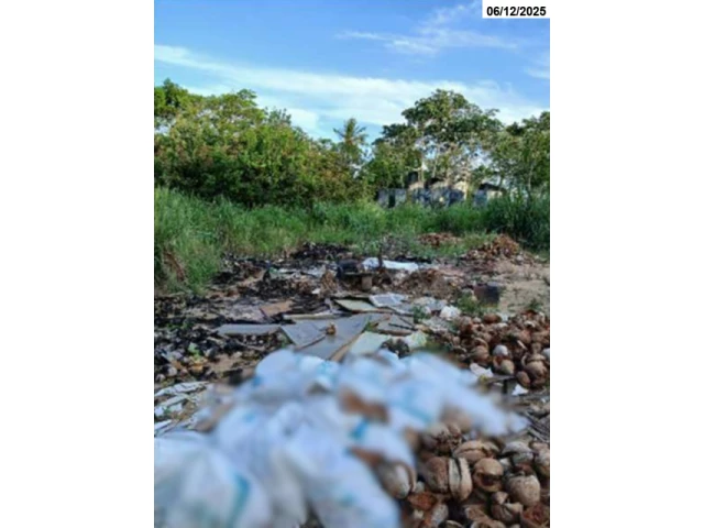 Chácara com aprox. 06 hectares - Camaçari/BA