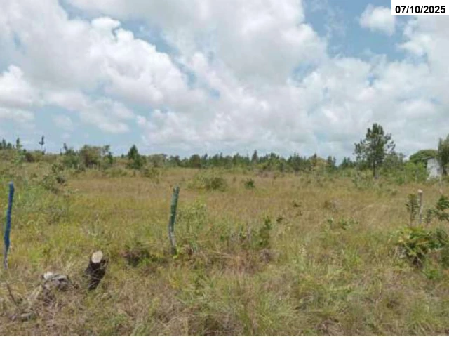 Imóvel c/  0,48 hectares - Itanagra/BA