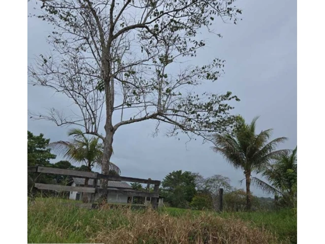 Imóvel Rural em Leilão em Chupinguaia / RO - 193578