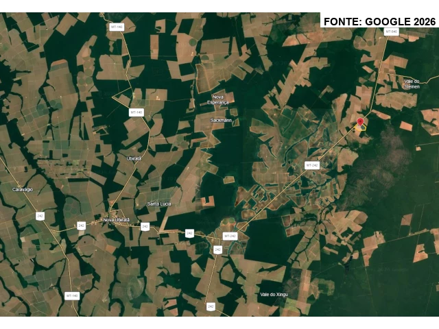 Gleba no Distrito de Novo Mato Grosso (foto 3 de 11)