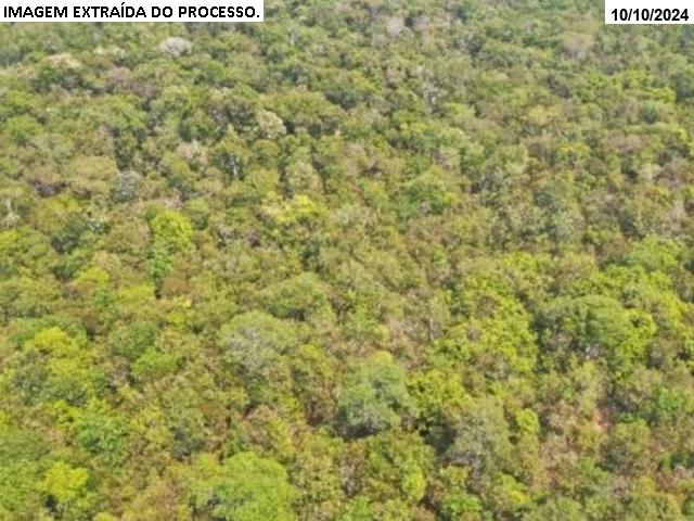 Fazenda Bataguassu II - 345,23 ha - Nova Ubiratã/MT