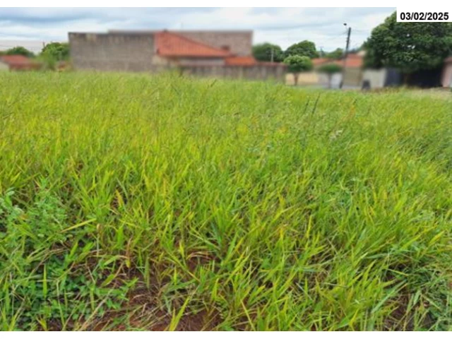 Terreno c/ 206,25m² - Pirajuí/SP