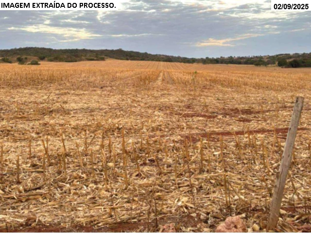 Gleba (foto 12 de 12)