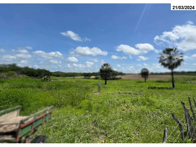 Sítio c/ 61,4 hectares - Quixadá/CE