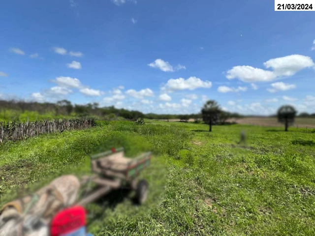 Gleba no Cipó dos Anjos (foto 2 de 2)