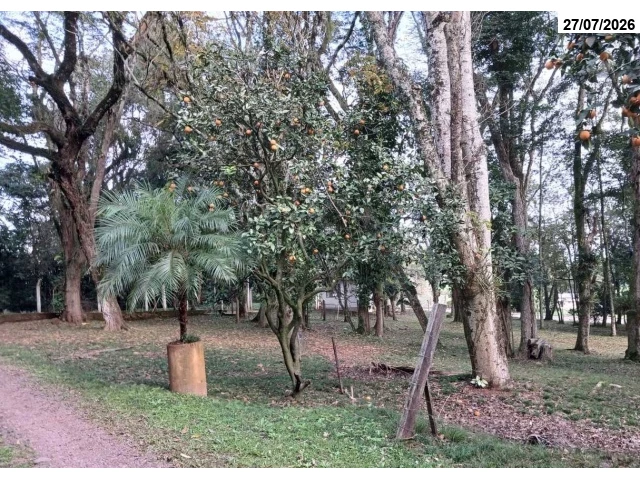 Terreno no Cristo Rei (foto 26 de 91)