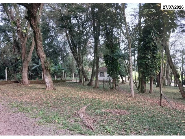 Terreno no Cristo Rei (foto 28 de 91)