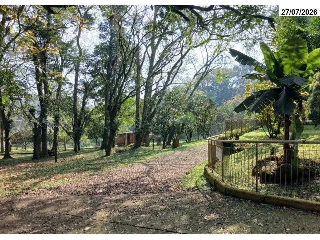Terreno no Cristo Rei (foto 29 de 91)