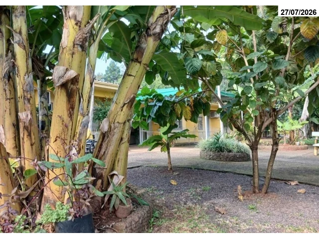 Terreno no Cristo Rei (foto 90 de 91)