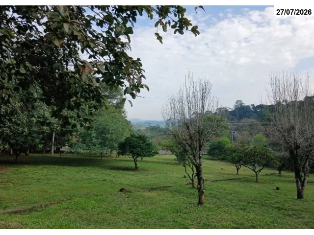 Terreno no Cristo Rei (foto 91 de 91)