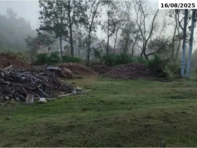 Gleba no Linha Anápio Silveira (foto 3 de 10)