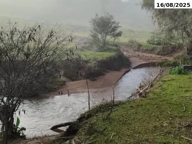 Gleba no Linha Anápio Silveira (foto 6 de 10)