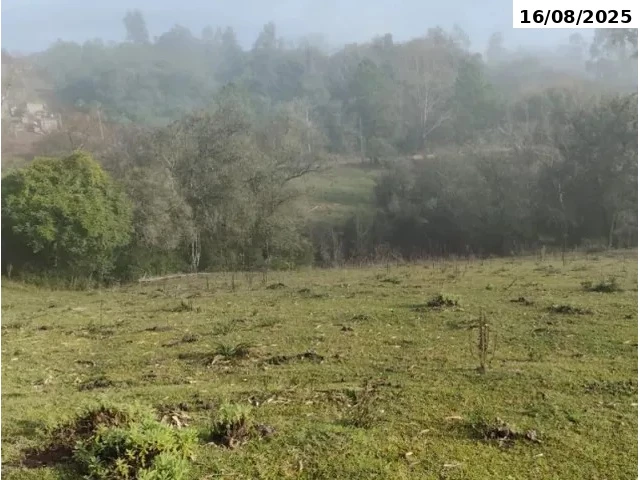 Gleba no Linha Anápio Silveira (foto 9 de 10)