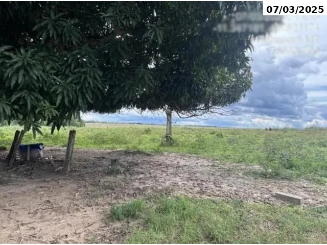 Foto 1 de 50% do Sítio c/ área total de 27,924 hectares - Tabaporã/MT