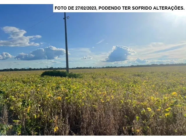 Gleba no Setor São Miguel (foto 9 de 13)