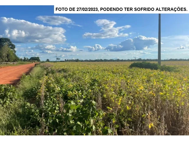 Gleba no Setor São Miguel (foto 10 de 13)