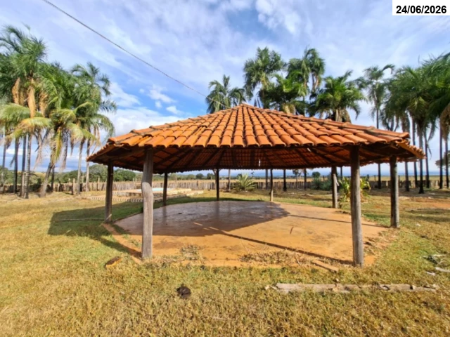 Gleba (foto 25 de 74)