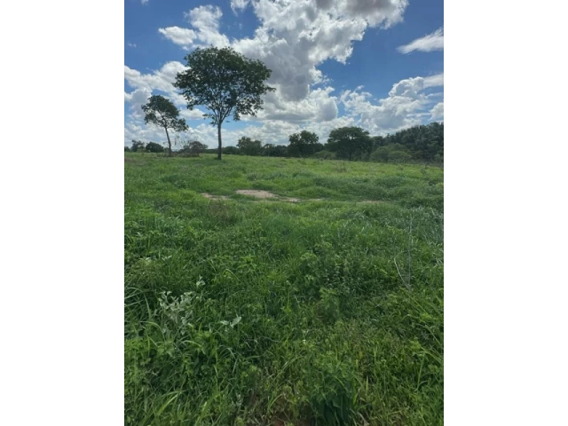 Gleba (foto 44 de 74)