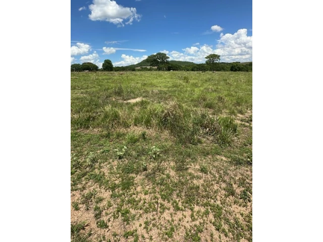 Gleba (foto 61 de 74)