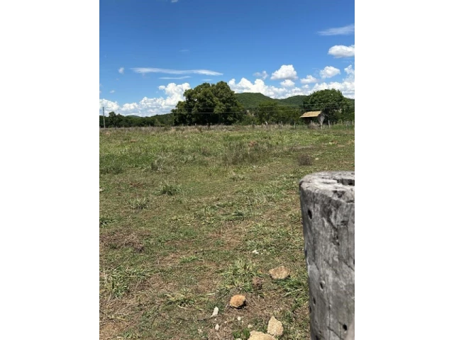 Gleba (foto 69 de 74)