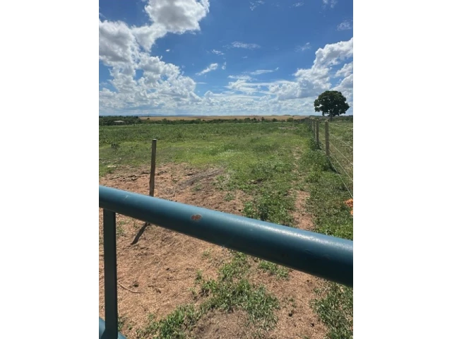 Gleba (foto 70 de 74)