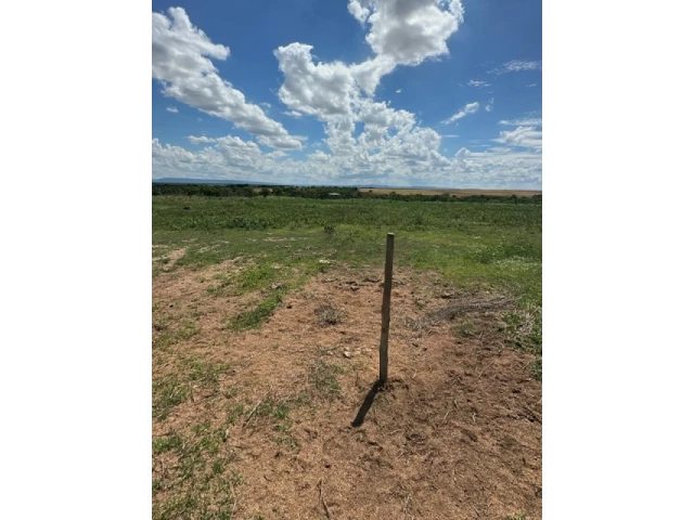 Gleba (foto 71 de 74)