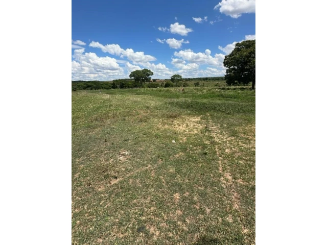 Gleba (foto 74 de 74)