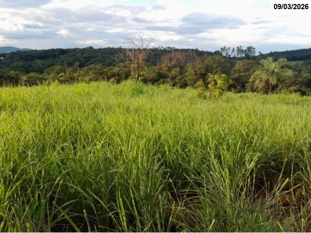 Imóvel rural em leilão em Mateus Leme