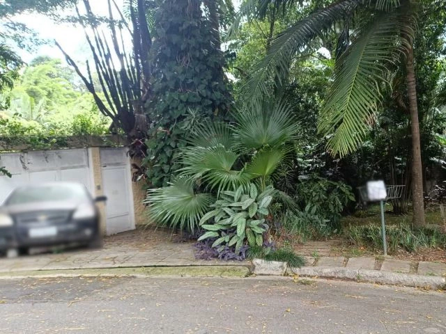 Terreno no Barro Branco (foto 6 de 7)