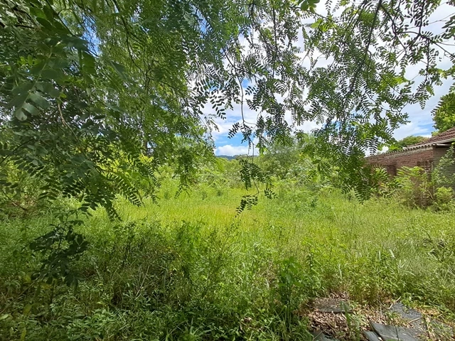 Terreno (foto 5 de 8)