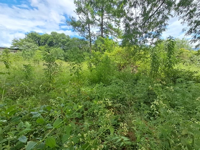 Terreno (foto 7 de 8)