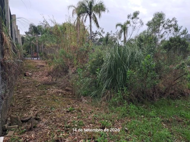 Terreno no Joaneta (foto 4 de 7)
