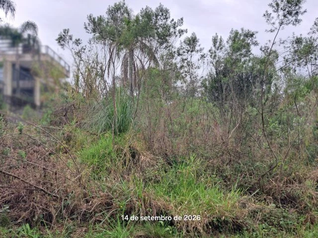 Terreno no Joaneta (foto 5 de 7)