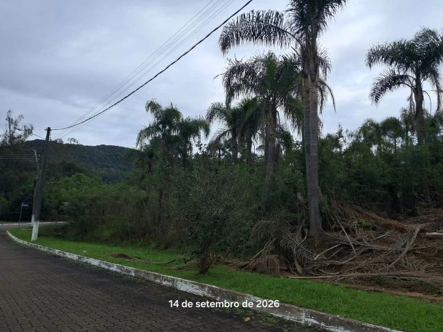 Terreno no Joaneta (foto 4 de 7)