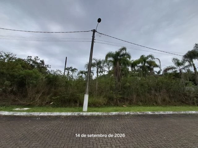 Terreno no Joaneta (foto 6 de 7)