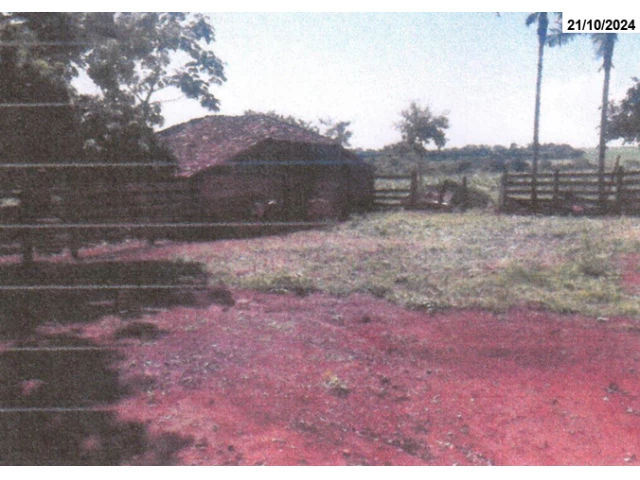 Gleba no Fazenda dos Baús, lugar denominado Capim (foto 3 de 6)
