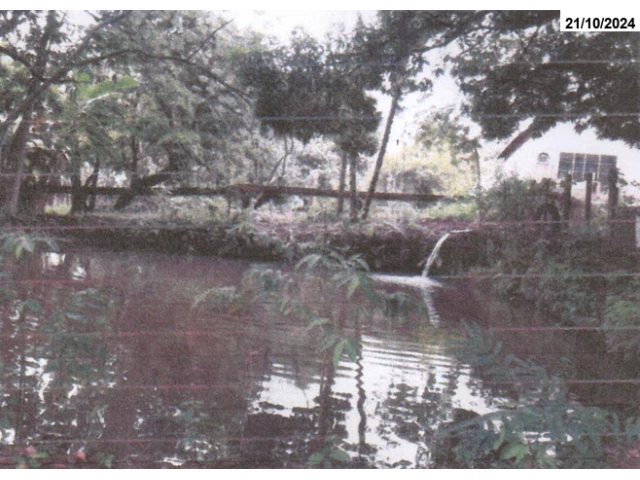 Gleba no Fazenda dos Baús, lugar denominado Capim (foto 4 de 6)