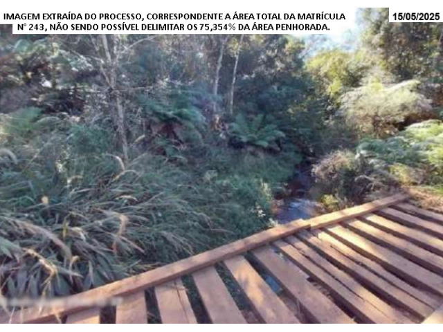 Gleba (foto 7 de 11)