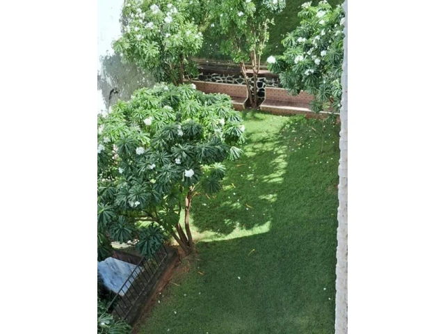 Apartamento com 3 quartos no Canela (foto 10 de 15)